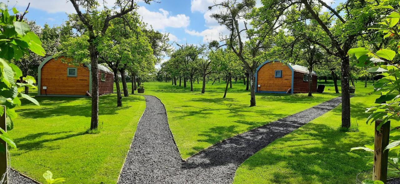 Orchard Farm Luxury Glamping And Campsite Glastonbury Exterior photo
